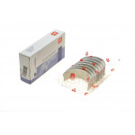 Вкладиші шатунні Citroen Jumper/Peugeot Boxer 3.0 HDi 06- (+0.25) = 6120482500 