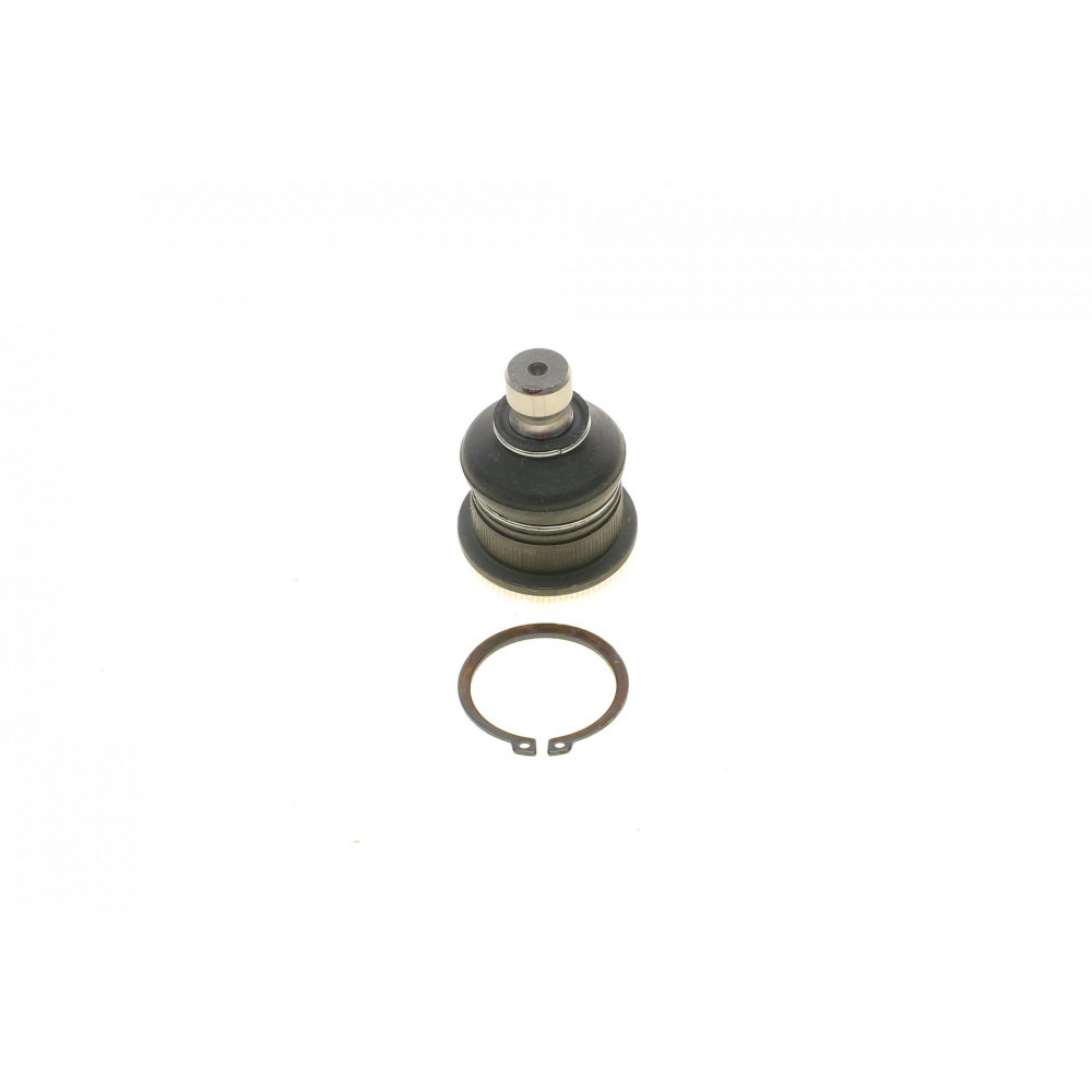 Опора кульова (передня/знизу) Renault Megane II/Scenic 02- (d=16mm)