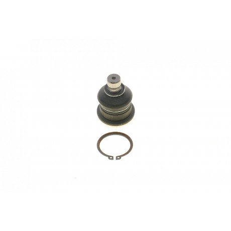 Опора кульова (передня/знизу) Renault Megane II/Scenic 02- (d=16mm)