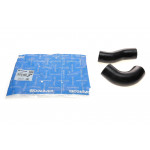 Патрубок інтеркулера Citroen Jumper/Peugeot Boxer 2.0 BlueHDi 15-19 (к-кт 2 шт.) 