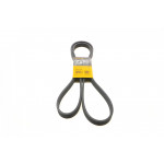 Ремінь генератора Audi Q7 3.6FSI 06-10/Porsche Cayenne 3.2/3.6/VW Touareg 3.2 V6/3.6 V6 FSI 02- 