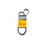 Ремінь генератора Toyota Avensis/Corolla 2.0D 03-09/Hyundai i10 1.0 13- 