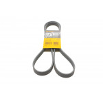 Ремінь генератора Fiat Scudo/Citroen Berlingo/VW Golf 