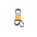 Ремінь генератора VW T4 2.5 90-03/Ford Fiesta/Mondeo 1.8/2.0 00-08/Jeep Cherokee 3.7 01-08 