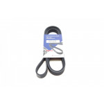 Ремінь генератора Fiat Scudo 1.9D 98-06/Audi A6 2.8 94-97 (6PK1675) 