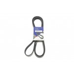 Ремінь генератора Audi Q7 6.0 TDI 06-09 (7PK2501) 