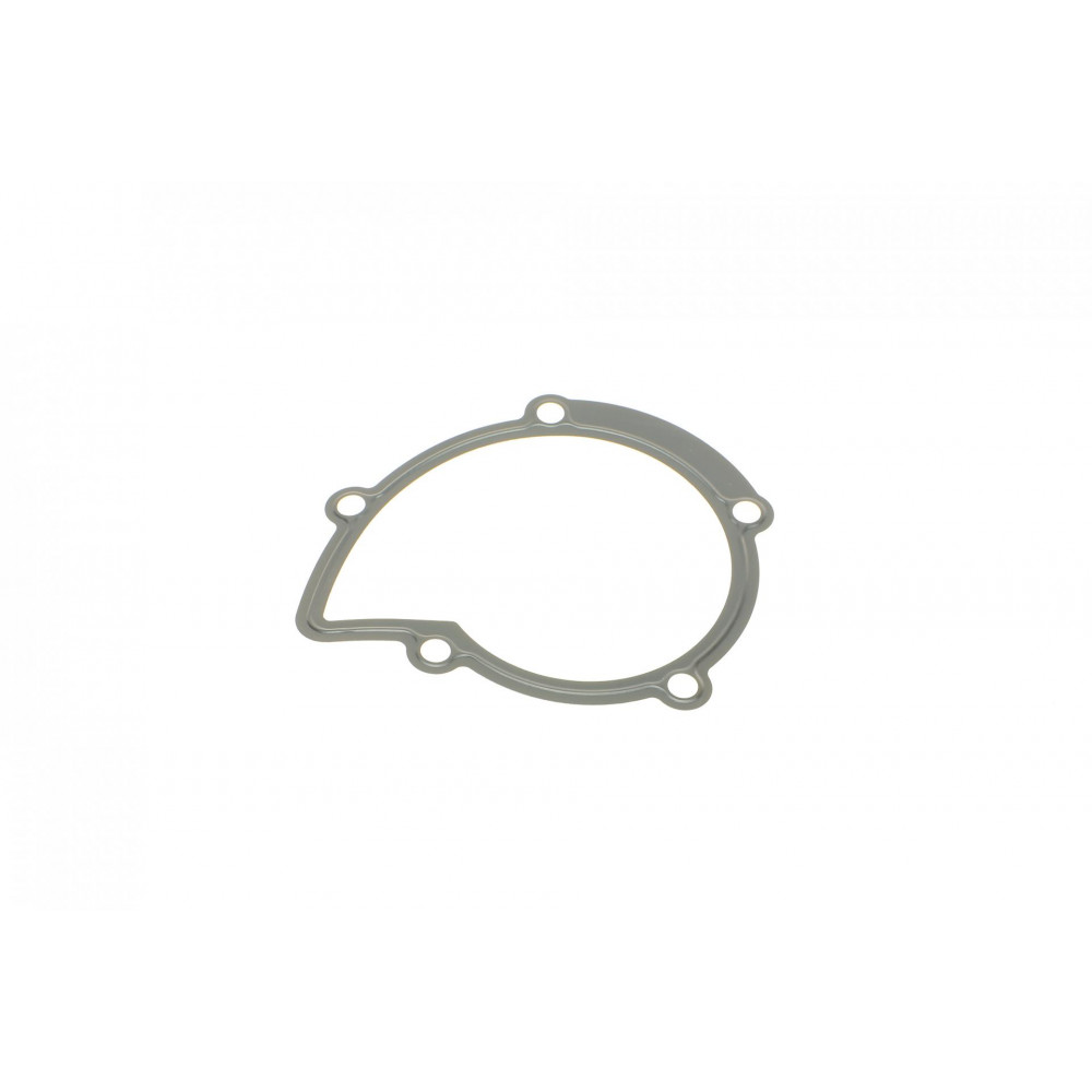 Прокладка помпи води Citroen Jumper/Jumpy/Peugeot Boxer/Expert 2.0/2.2 HDi 02-