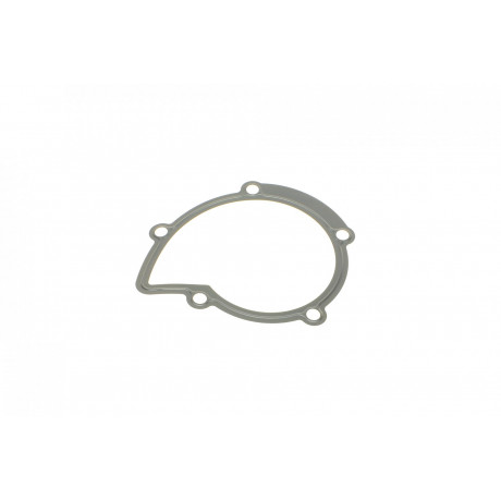 Прокладка помпи води Citroen Jumper/Jumpy/Peugeot Boxer/Expert 2.0/2.2 HDi 02-