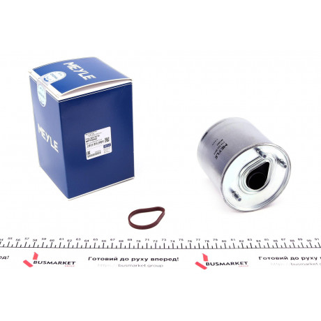 Фільтр паливний Ford Connect 1.6TDCI 13-