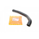 Патрубок радіатора (нижній) BMW 5 (E39)/7 (E38) 2.0/2.5/2.8 95-03 M52 