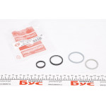 Прокладка радіатора масляного Citroen Berlingo/Jumpy/Fiat Scudo/Ford Transit 1.6HDI/TDCI 10- (к-кт) 