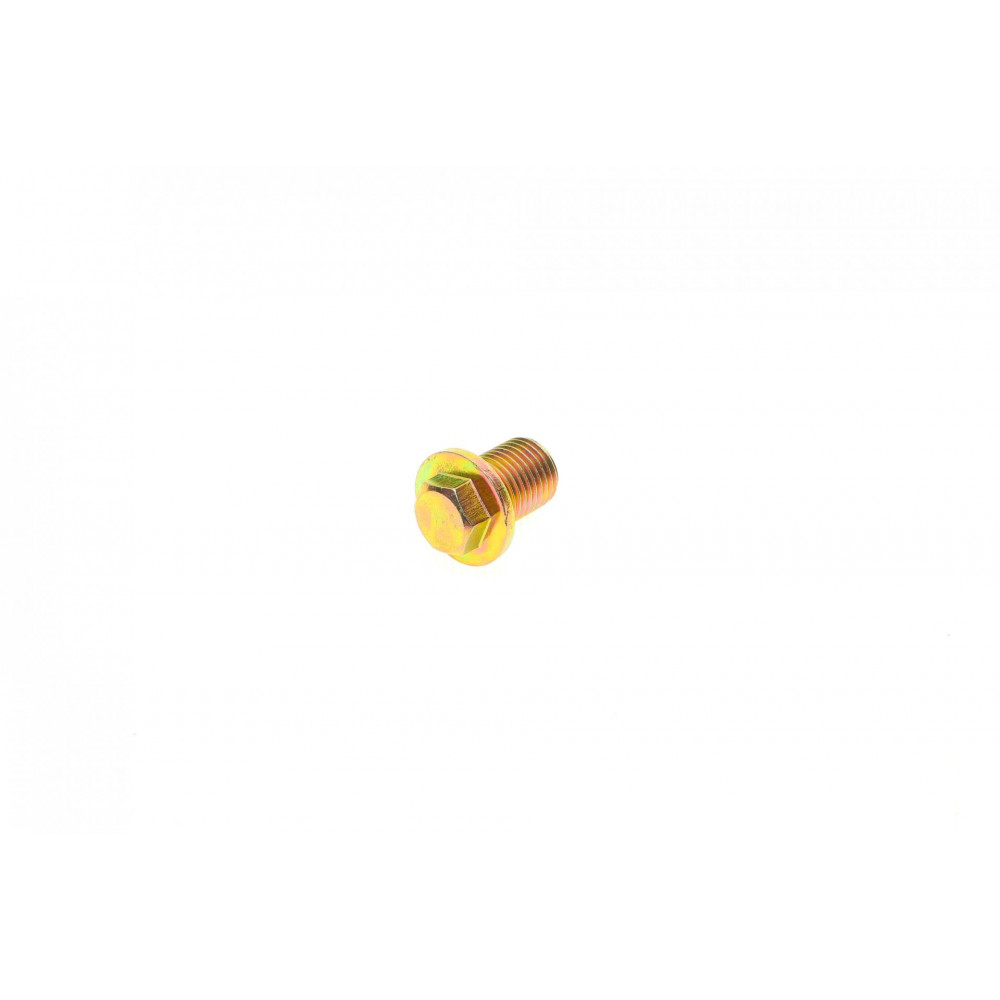 Болт зливу оливи Ford Transit -06 (M14x1,5mm)