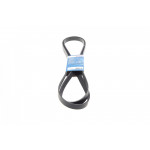 Ремінь генератора Hyundai Santa Fe 12-15/Jeep Patriot 2.4 08- (6PK2550) 