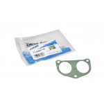 Прокладка колектора впускного Fiat Scudo/Peugeot Expert 1.9D (DW8) 