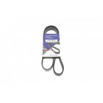 Ремінь генератора Skoda Octavia II/VW Golf VI 1.6TDI 09- 