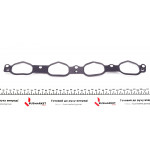Прокладка колектора впускного MB S-class (W221) 05-13 