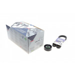 Комплект ременя генератора Peugeot Boxer/Citroen Jumper 2.8D/HDi 99- (5PK1100) 