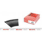 Болти головки (к-кт 10шт.) Ford Fiesta/Sierra 1.6 83- 