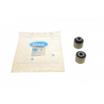 Комплект сайлентблоків тяги (задньої/поперечної) Audi A6/A4 04- (2 шт.) 