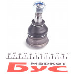 Опора кульова (передня/знизу) Nissan Primera/Sunny 86-02/Almera II 00- 