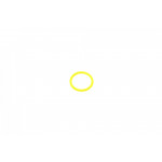 Прокладка термостата EGR BMW 3 (E36/E46)/5 (E60/E61) (19x2.5mm) (кільце) 