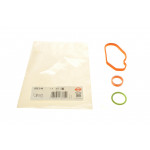 Прокладка клапана вентиляції картера Citroen Jumpy/Peugeot Expert 2.0 HDi 06- 