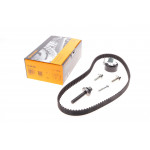 Комплект ГРМ Ford Mondeo/Focus 1.4/1.6i 03-/Volvo C30/S40/V50 1.6 05-12 (22x117z) 