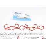 Прокладка колектора впускного VW Passat 2.0 TDI 05-12 