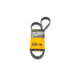 Ремінь генератора Ford Focus/Mondeo 2.0TDCi 14-/Fiat Bravo/Stilo 1.8/1.9D 07- 