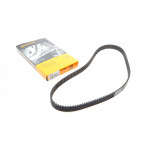 Ремінь ГРМ VW Golf/Touran 2.0FSI 03-08 (23x145z) 