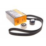 Комплект ГРМ Fiat Ducato 2.3JTD/Iveco Daily 02- (30x178z) 