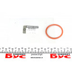 Прокладка патрубка інтеркулера ущільнююча Renault Scenic III K9K 