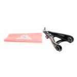 Важіль підвіски (передній/знизу) (L) Renault Megane I/Scenic I 96-03/19 I/II 88-96 (10RN2000 кульова) 