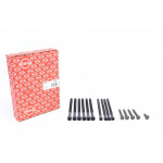 Болти головки (к-кт 15шт.) BMW X3 (F25)/X4 (F26) 11- N20/N26 