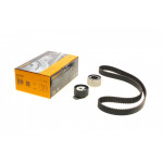 Комплект ГРМ Fiat Doblo 1.6 16V/Natural Power 01- (76kw) (25x158z) 