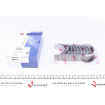 Вкладиші корінні Fiat Ducato 2.3 JTD (+0.25) = 6020242500 