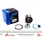 Підшипник маточини (задньої) Renault Megane II/Scenic II 03- (25x55x48) (к-кт) 