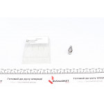 Гідрокомпенсатор BMW 3 (F30/F80)/5 (F10) 10-18, B37/B46/B47/B58/N47, (F-46327.25) 