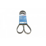 Ремінь генератора Fiat Scudo 1.6D Multijet 07-/Ford Focus 1.8CDTi 04-12/Opel Corsa 06- (6PK1360) 