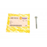 Болт (M6x1x55mm) 