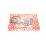 Комплект прокладок (нижній) Citroen Berlingo/Jumper/Peugeot Boxer/Expert/Partner 1.9D/2.0/2.2HDi 96- 