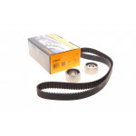 Комплект ГРМ Fiat Ducato/Iveco Daily/Renault Master 2.8 JTD/dTi 96-06 (30x154z) 