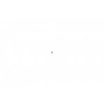 Кульова напрямна форсунки (10 шт.) 