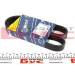 Ремінь генератора VW Caddy III 1.9TDI/2.0TDI/SDI 03- (6PK950) 