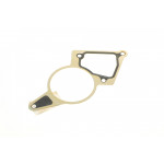 Прокладка насосу вакуумного Ford Transit 2.2TDCI 06- (OE Ford) 