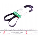 Ремінь генератора VW Crafter 2.0TDI 06- (6PK1613) 