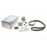 Комплект ГРМ + помпа VW Golf VI/Skoda Octavia/Superb/Audi A3 2.0TDI 04-13 (160x25)(P569) 