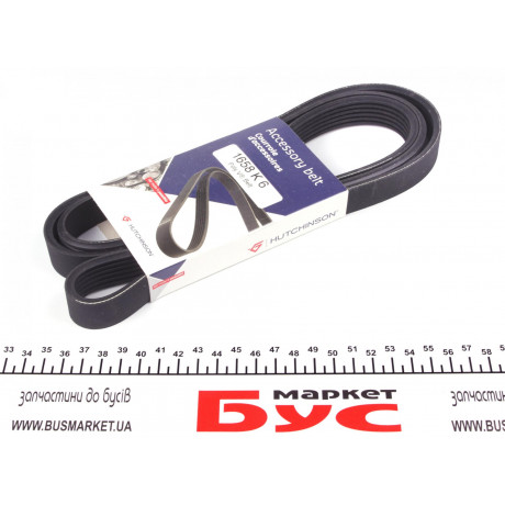 Ремінь генератора Fiat Scudo/Citroen Berlingo/VW Golf IV 1.8/1.9TDI 97- (6PK1658)