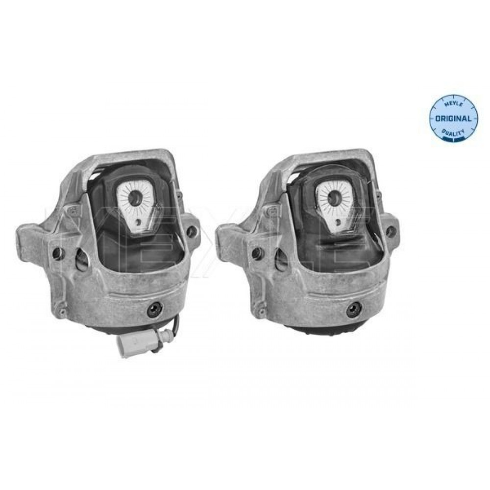 Подушка двигуна (передня) Audi A4/A5/Q5 2.0 TDI 09-17 (к-кт)