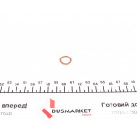 Прокладка пробки зливної масляного піддону Fiat Doblo 1.4i/Ducato 2.0D 10- (12.5x16.7x1.3) 
